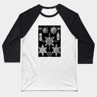 Ernst Haeckel Art Forms of Nature -  Acanthophracta Radiolaria Baseball T-Shirt